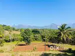 3 acre beautiful hill view land . urgent sale