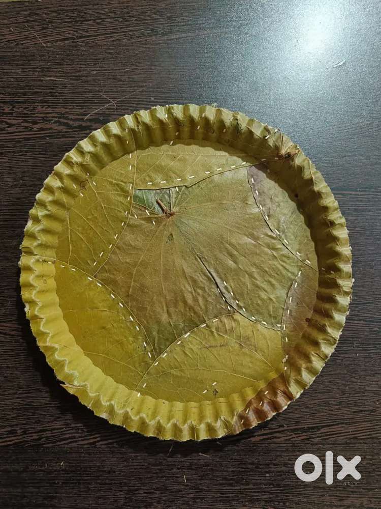 PAPER PLATE MACHINE