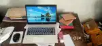 Hp laptop 10 pro
