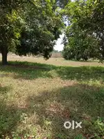 Properties Bazar