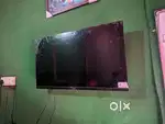 HAVELLS T.V.