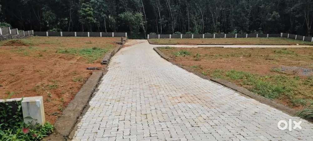 4,5,6,7, cent house plot near pukkattupady busroot 100 mtr