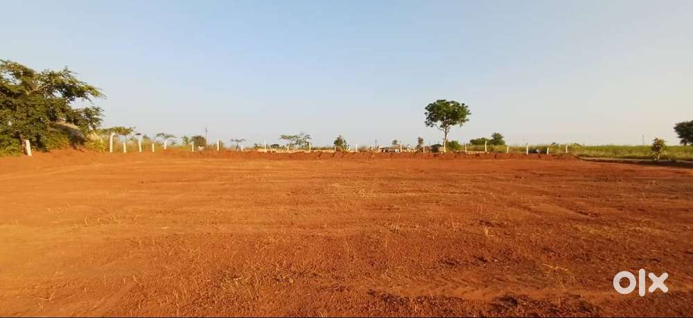 Excellent BIT for Small Budget,10 Guntas Agriculture land for sale