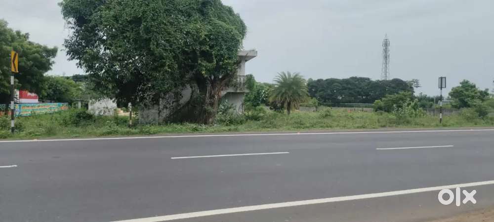 House for Commercial