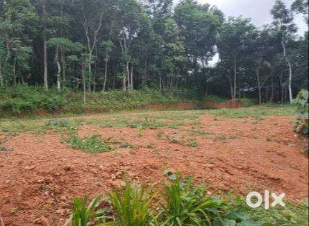 10 CENT HOUSE PLOT PERINGOME