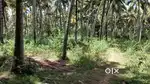 93 Cent Coconut Farm Land for Sale in Konam Paruthivilai Junction-2 Km