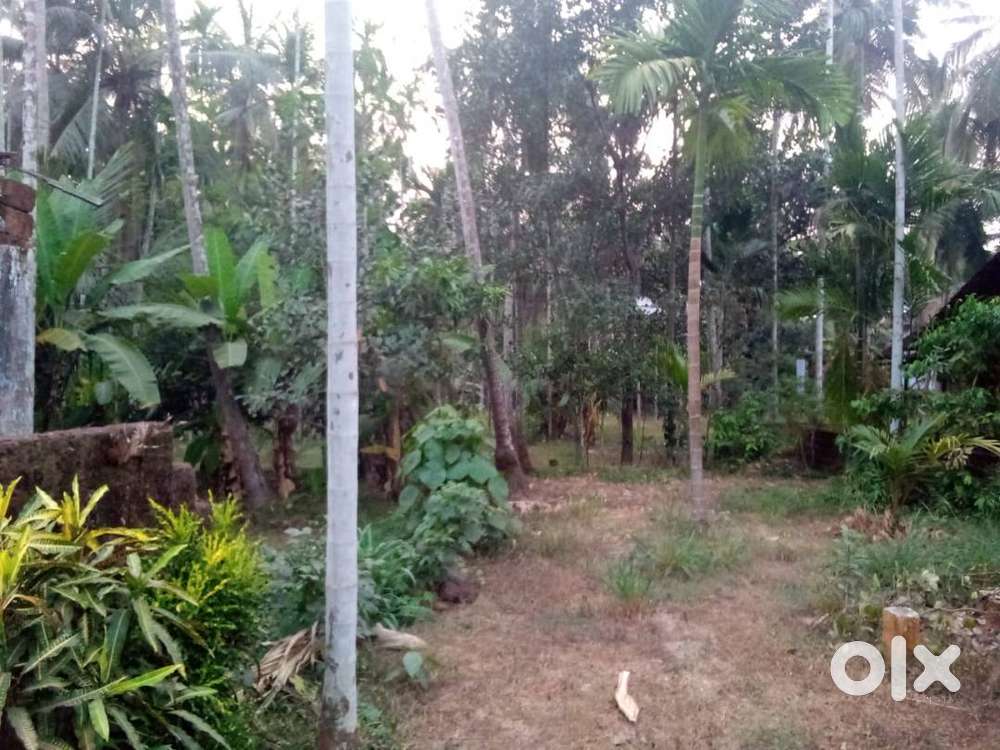 17 Cent Residential Land for Sale At Thadampattuthazham,Calicut (jm)