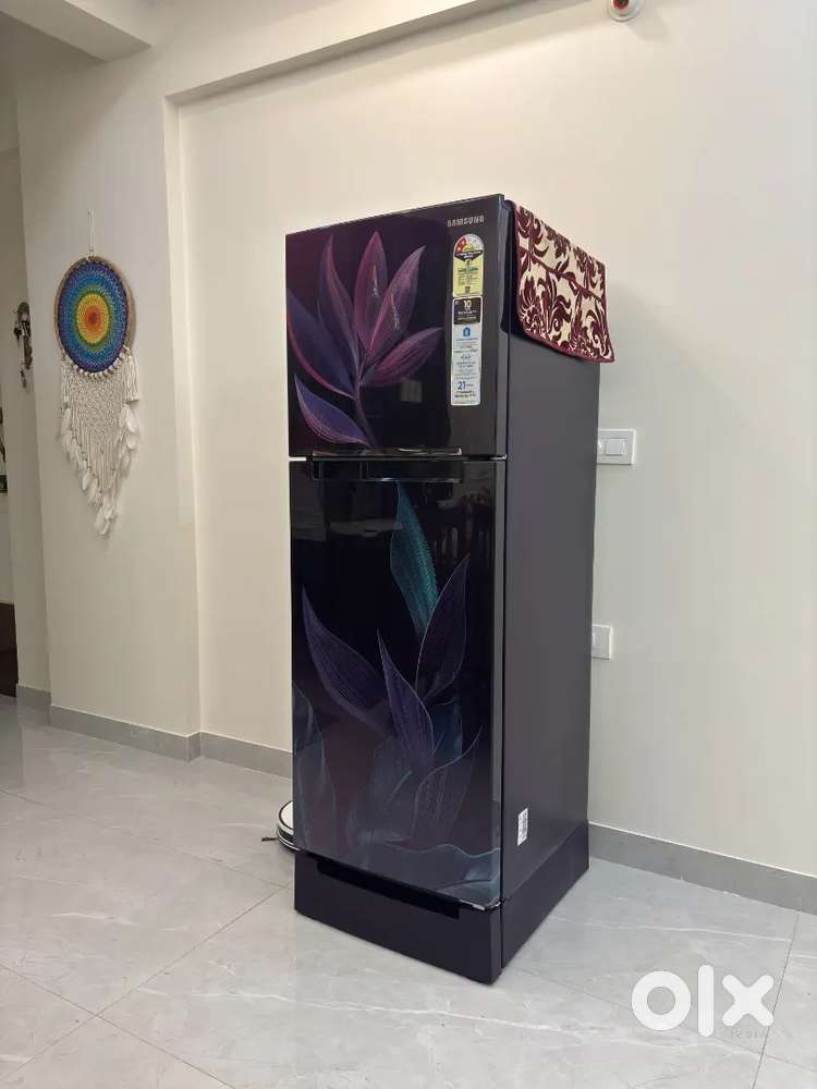 Samsung 236L Double door fridge (RT28C31429R/HL)