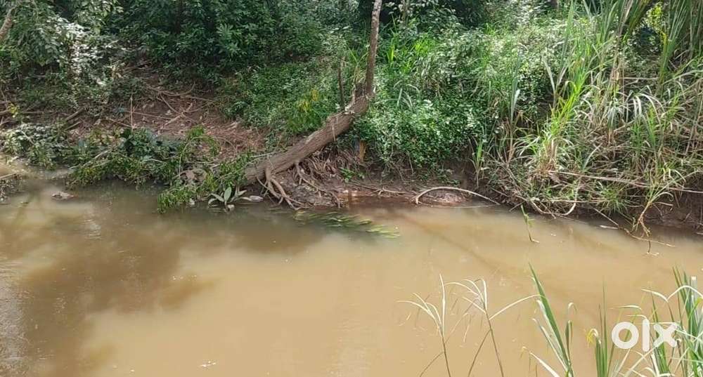 Own a Scenic 40 Cent Plot by the River in Nadavayal Wayanad – Ideal