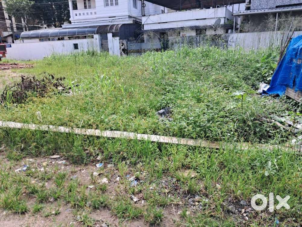10 Cents of Residential/Commercial Plot in Edappaly.