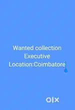 Wanted Collection Executive