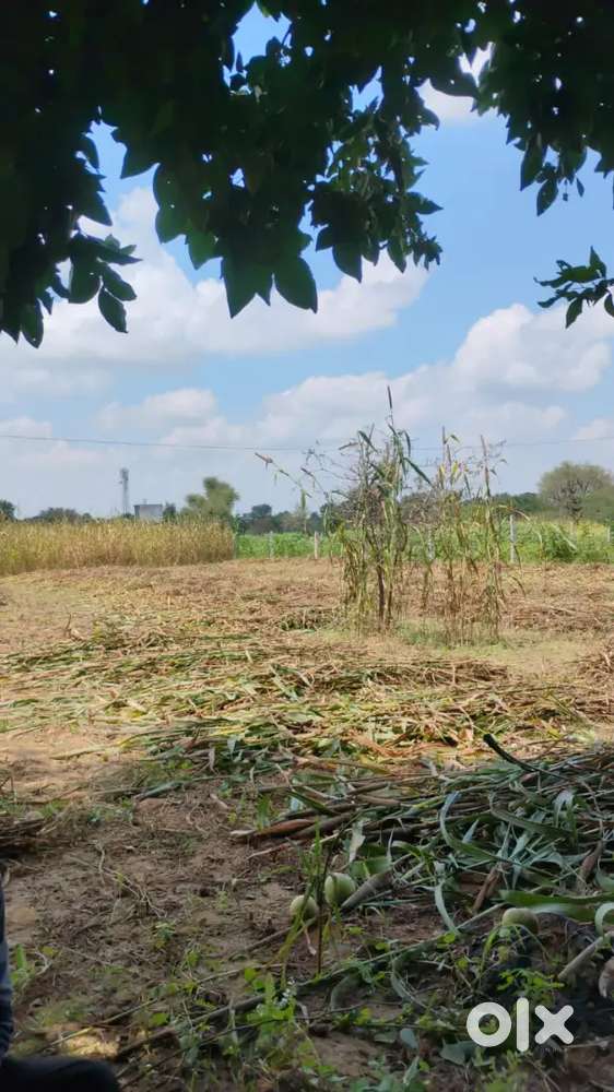 Halwai,chef required