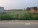Double gali Corner plot Good location plot