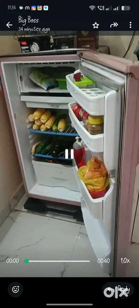 Freeze  for sell