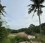 3acre 25 cent Near Science park Thonnakkal
