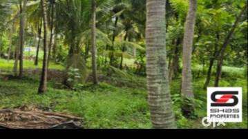 Farmland for Sale  Kozhinjampara, Palakkad