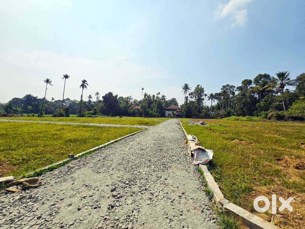 3,4 Cent Residential Plot for Sale In Neericode, Near Kongorpilly