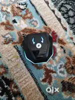 Leaf ear pods