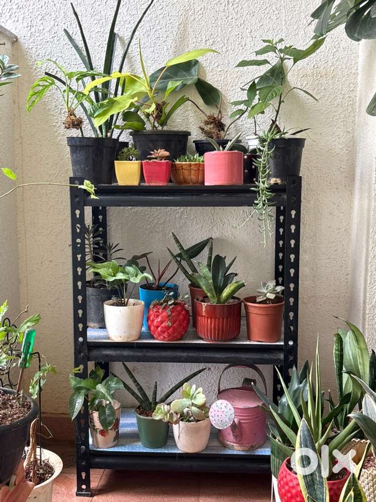 Plant stand