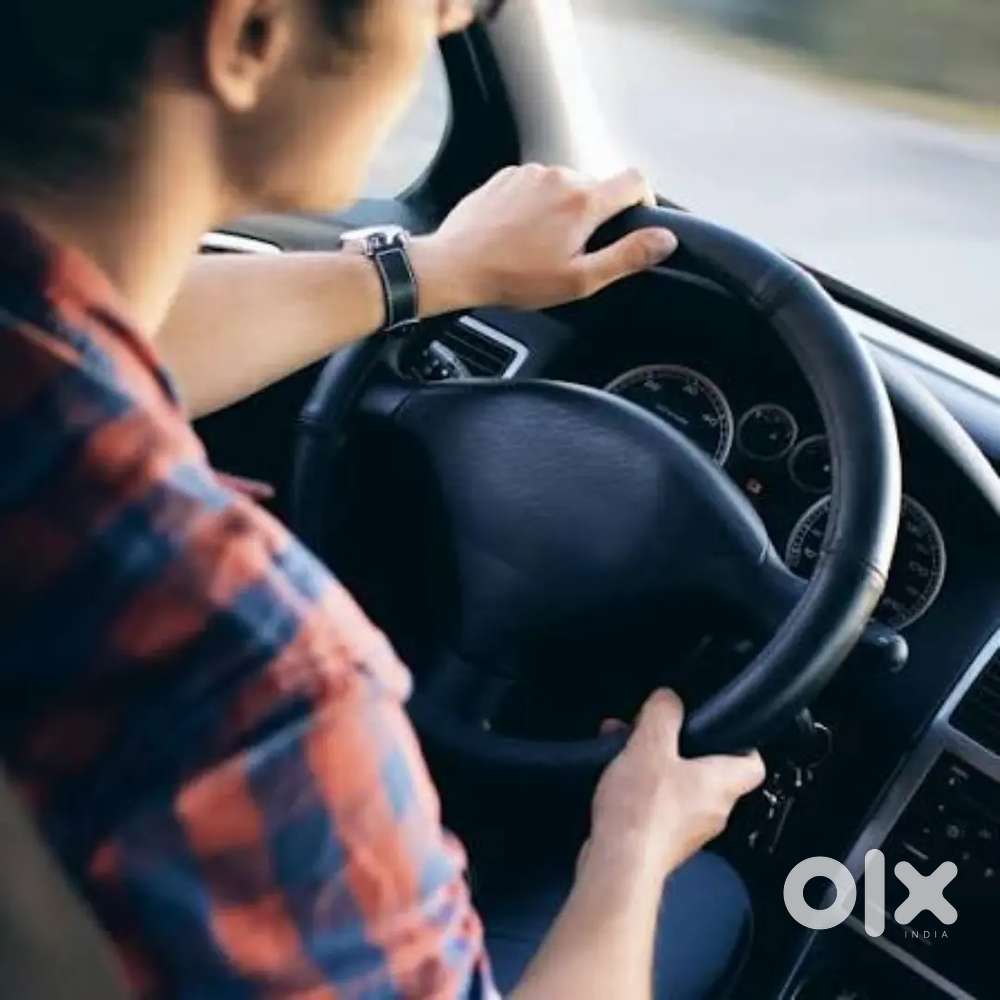 Four wheeler car driver job