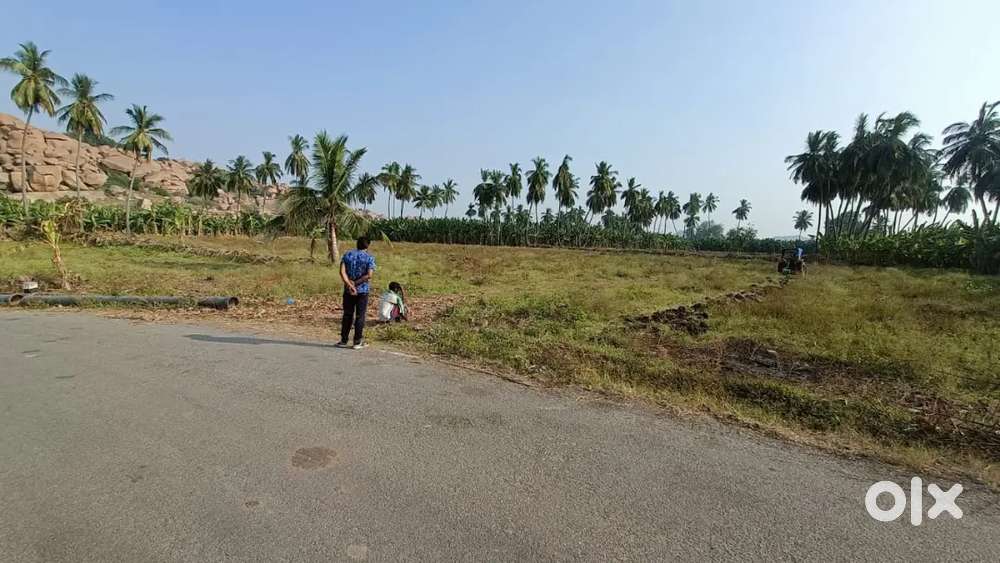 I want to sell my Agricultural Land Located Near to Vittal rai temple