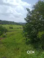 6 gunte 1 lakh rs.gunta