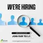 Management Information Systems (MIS) Executive