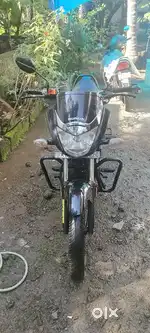 Unicorn 2019