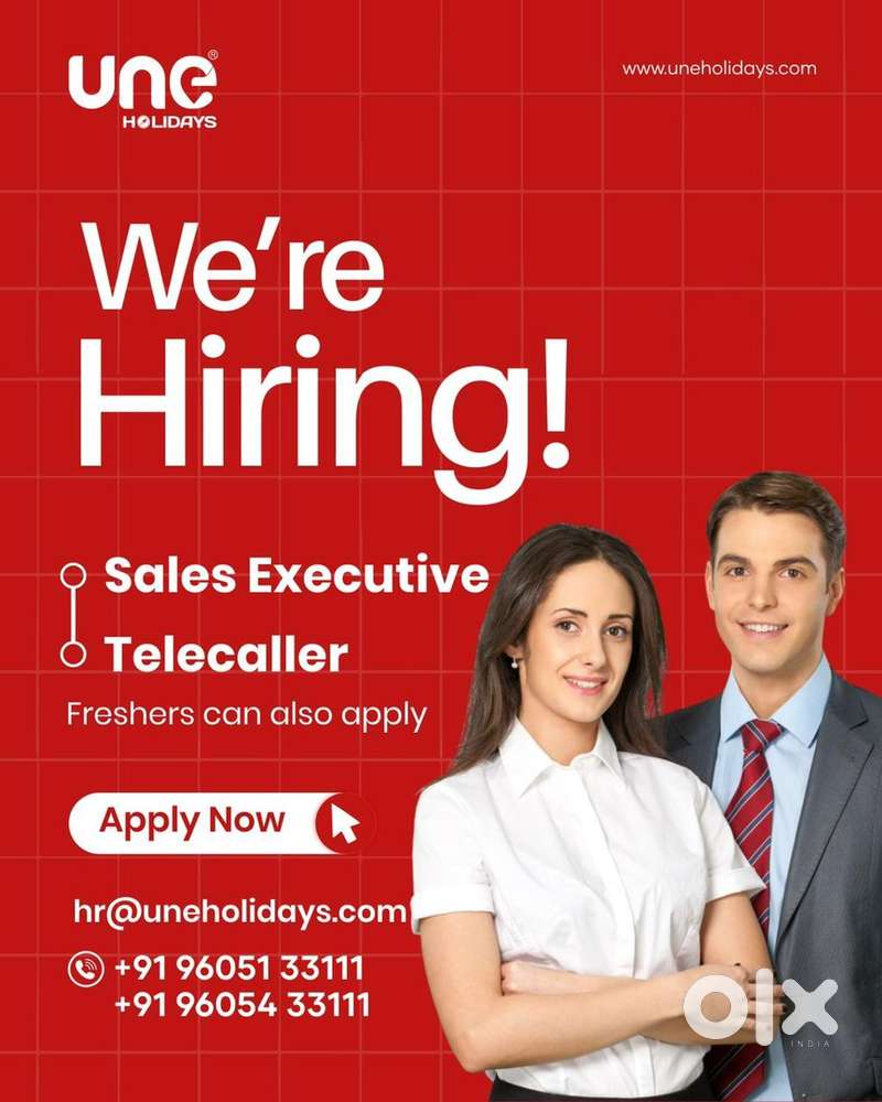 LOOKING FOR HOLIDAY CONSULTANTS & TELE MARKETING EXECUTIVES