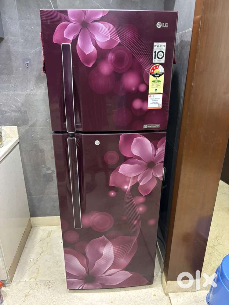LG Double Door Fridge
