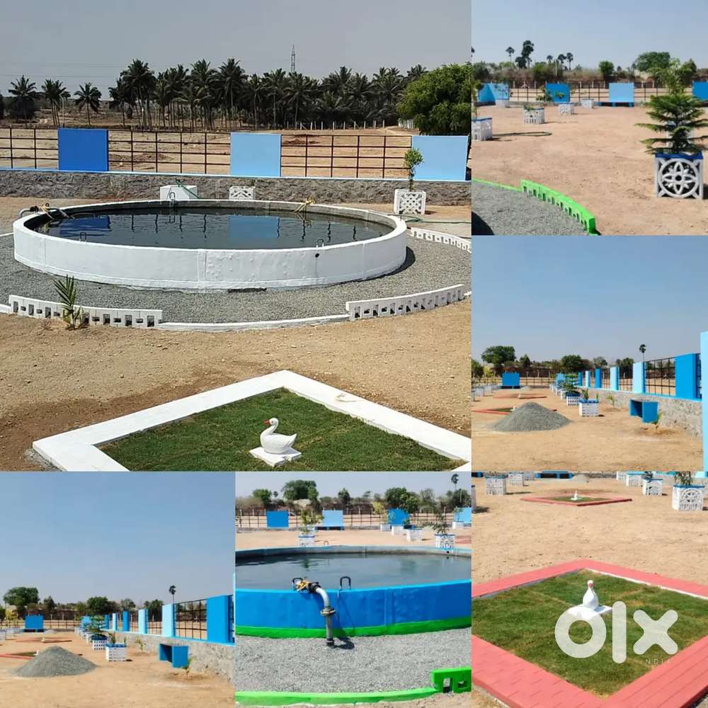 BEAUTIFUL FRUIT TREES FARM LAND LOW COST IN MAIN AREA