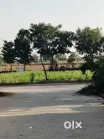 Lands and plots prime location