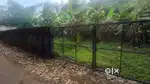നമ്പ്യകുളത്തു 10സെന്റ്