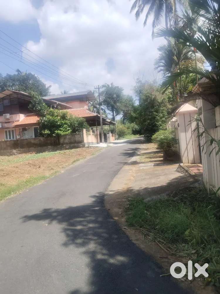 Thrissur nellikunnu 8 cent plot for sale per cent 8.20 Lakh
