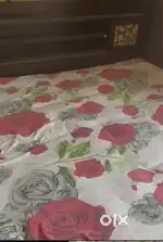 Double cot bet