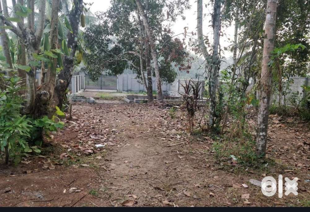 House/commercial plot for sale