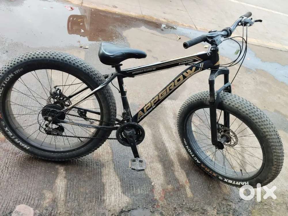 Cycle brand : Appgrow Fat Bike