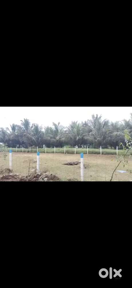 On road property commercial site