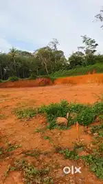 മാടത്താനി 10 cent house plot.1.30 .lakh.