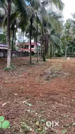 South Pullukulangara temple 40 cent