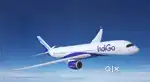 Need for ground staff jobs