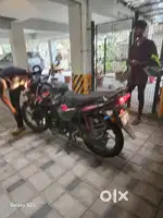 Honda Shine for SALE