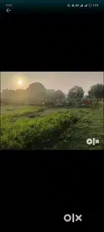 BKT tahseel ke pass
