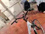 2 imported cycles. one adult one child. 1 Year old cycles.