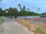 VIDYODAYA SCHOOL THEVAKKAL 1.8 KM PLOTS NEAR KAKKANAD KALAMASSERY