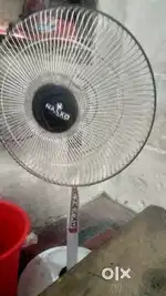 Fan chlta h