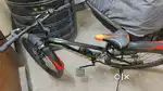 Leader Beast 26 t Single Speed