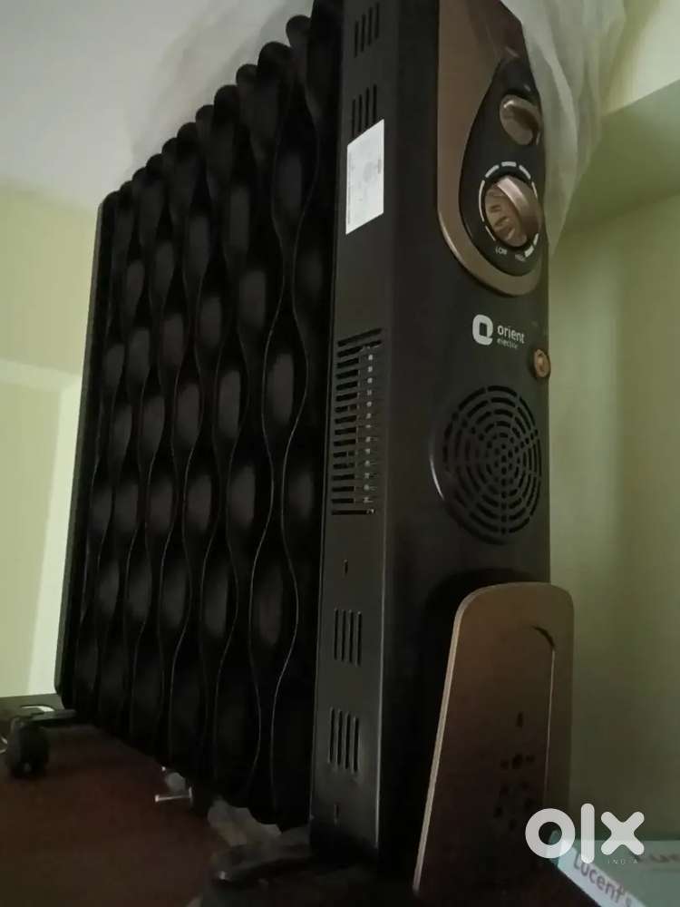 Orient Electric heater