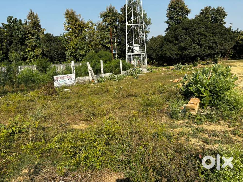 Teen trf road hai ekdm highway pe