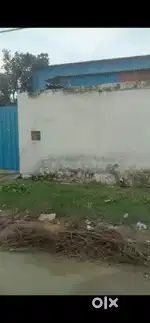 Plot  100/100